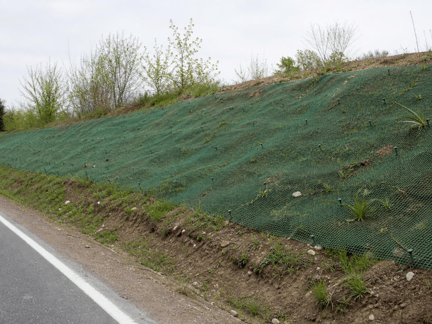 Green Slope-Cover Mesh product view